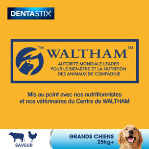 PEDIGREE Dentastix Friandises à mâcher grand chien 140 sticks dentaires (20x7)