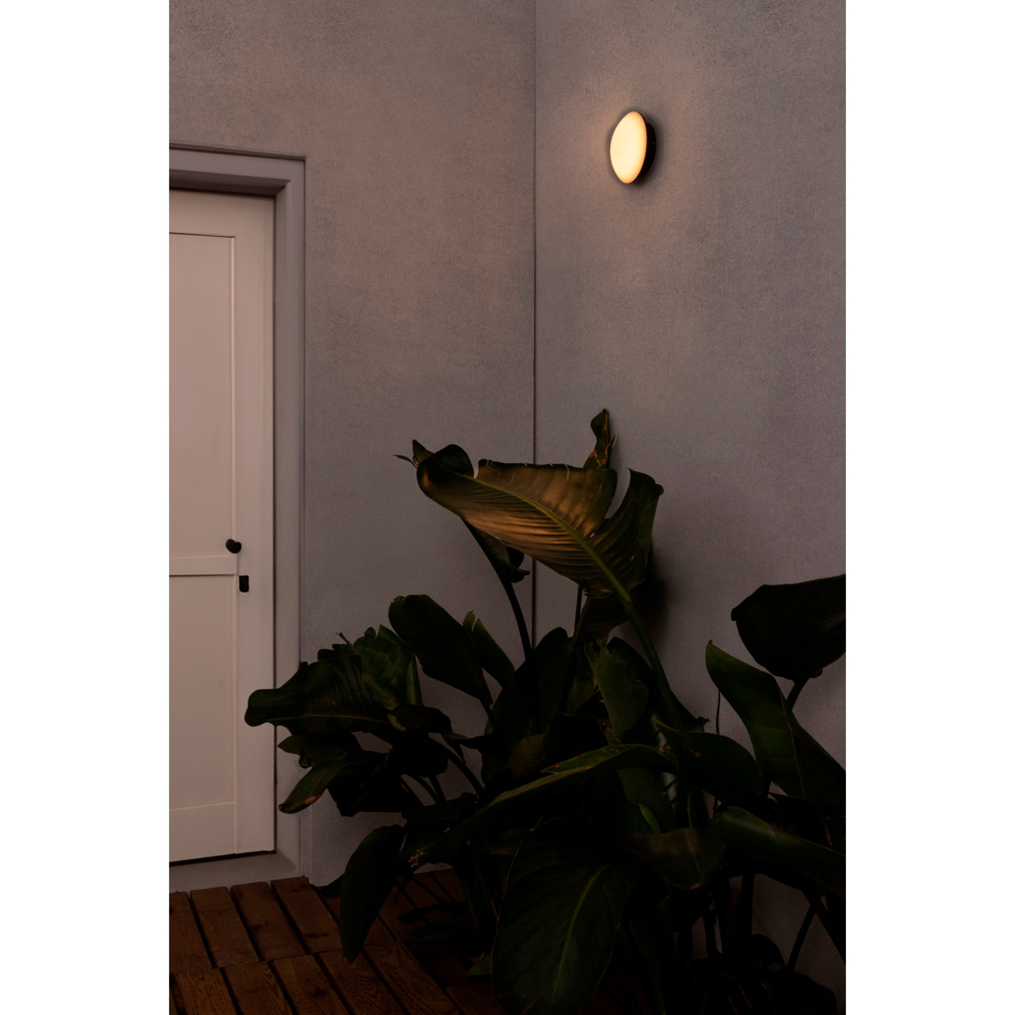 SUN LED Lampe applique/plafond gris foncé