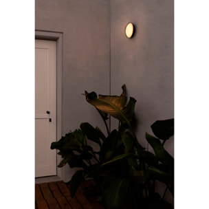 SUN LED Lampe applique/plafond gris foncé