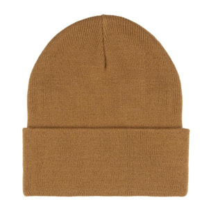 Gorro Leone 1947 Apparel Varsity invierno