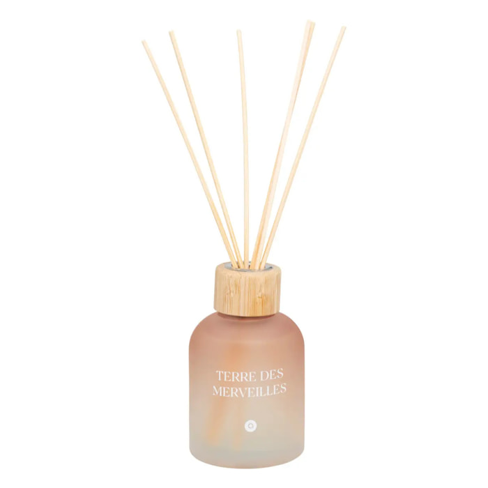 Diffuseur de parfum "Terre des merveilles" 150ml