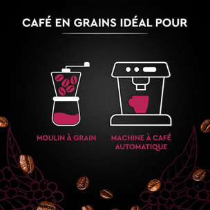 Grains Espresso 1 KG