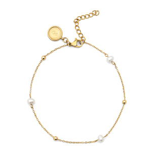 Tobillera Swan Acero Baño Oro