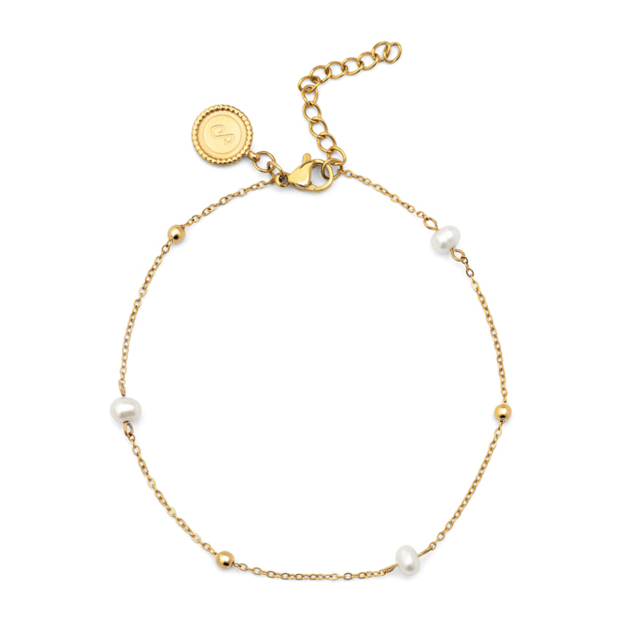 Tobillera Swan Acero Baño Oro