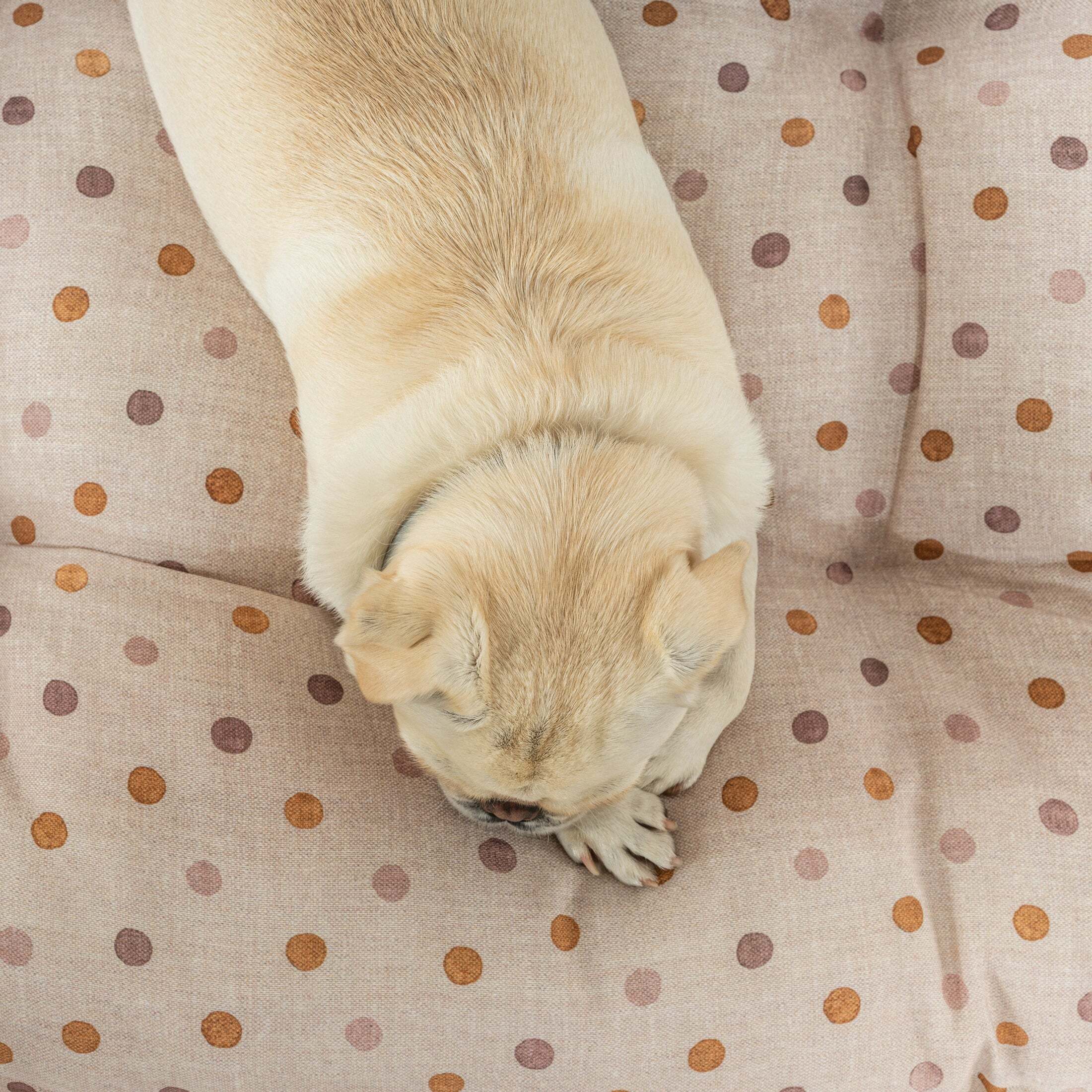 Lit épais et rembourré pour chiens et chats, 100 % coton anti-taches, pour animaux 0120-305