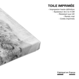 Tableau Michel Polnareff à Paris Toile imprimée