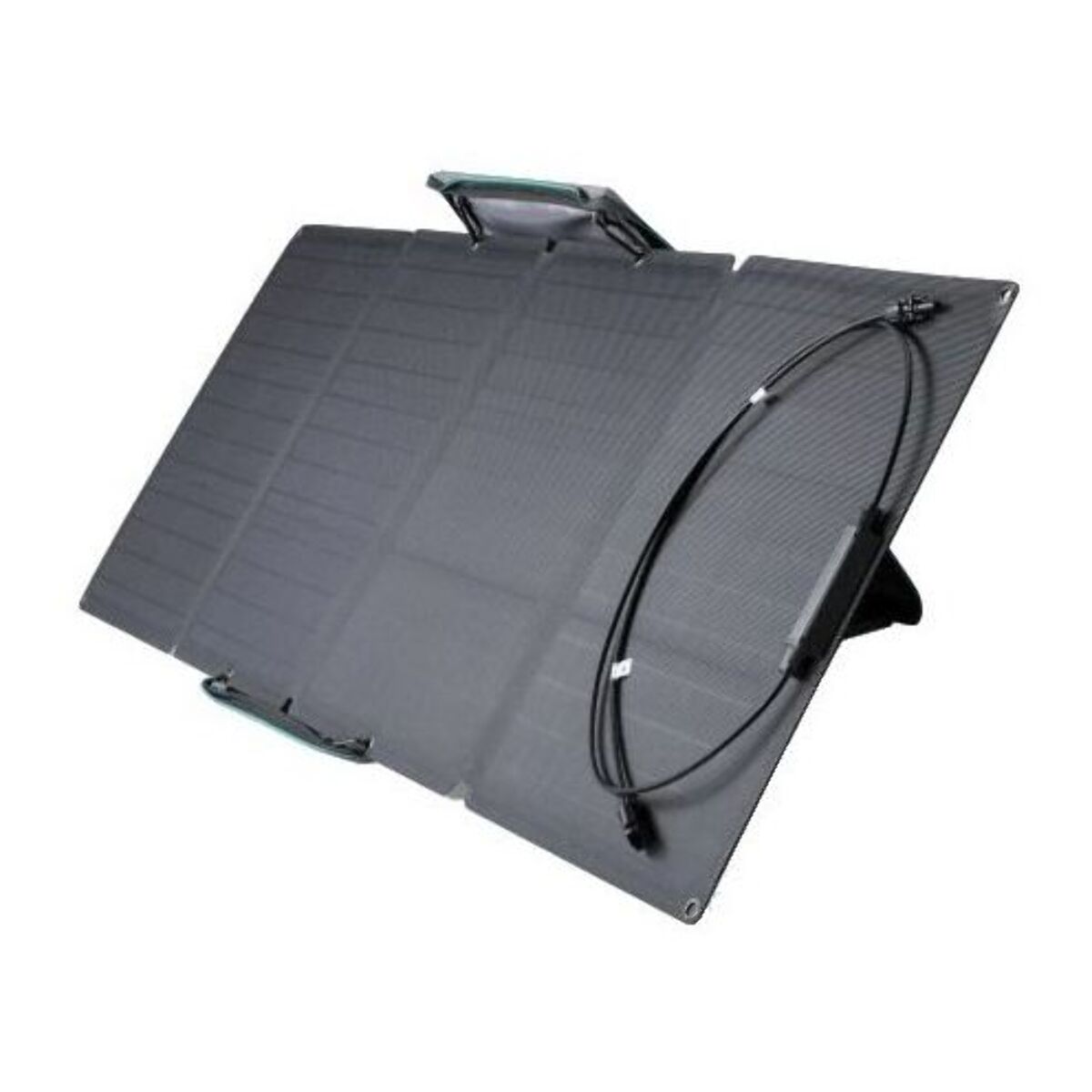 Panneau solaire ECOFLOW portable 110W