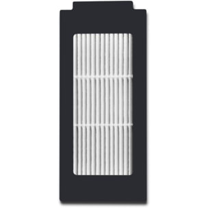 Filtre BOSCH Haute performance robot BCRDW3