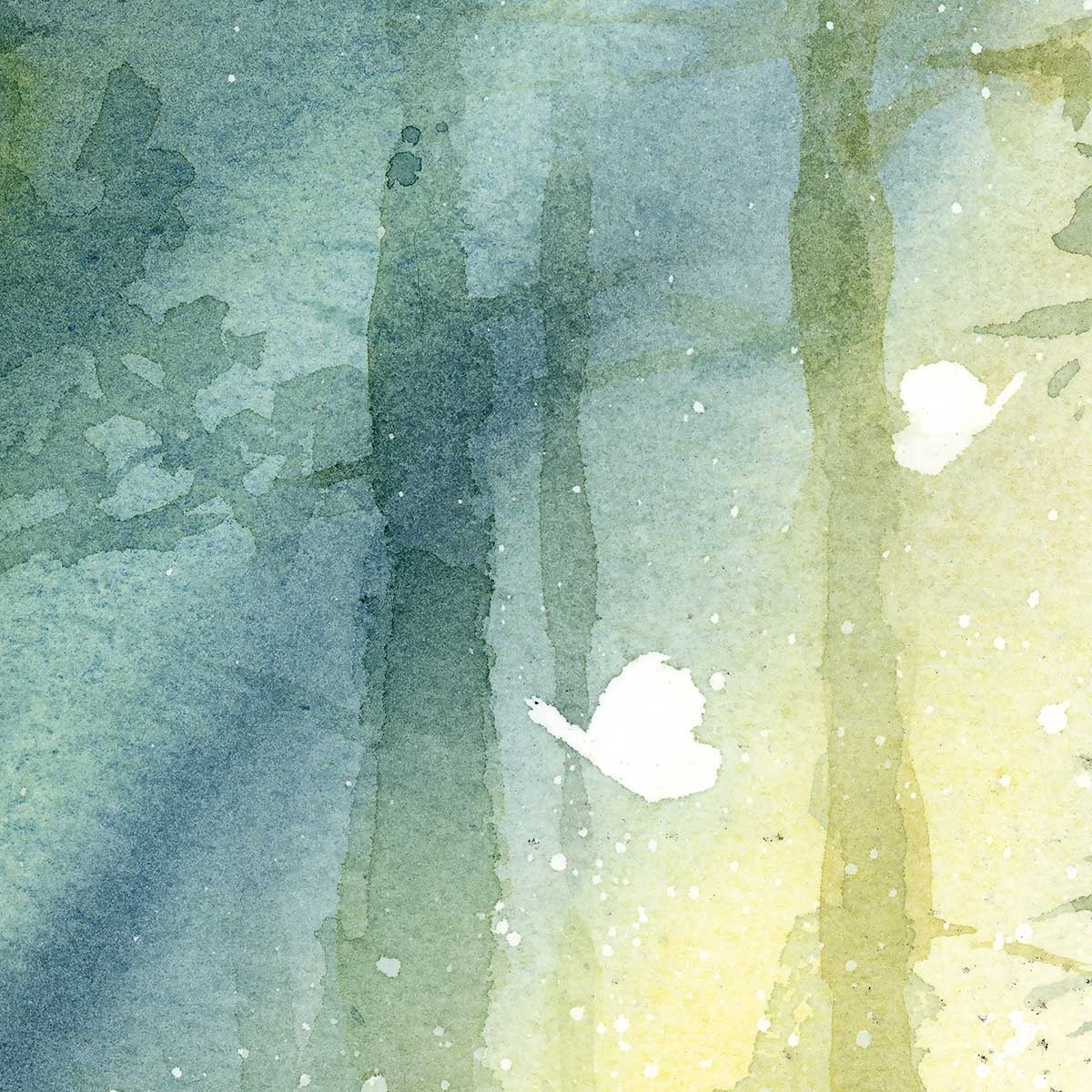 Affiche Bosquet ombragé Affiche + cadre en bois - Noir