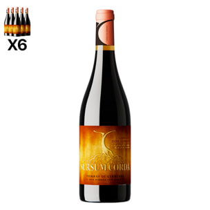 Caja de 6 botellas de vino tinto Sursum Corda Crianza. 100% Garnacha, crianza de 12 meses, Cebreros. Vendimia del 2021. 75cl con 14,5% vol.