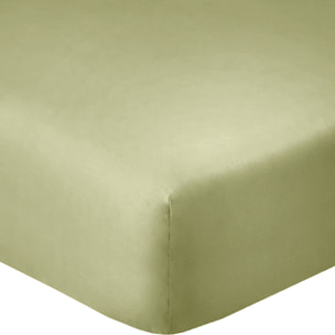 Drap Housse - Bonnet 35cm 100% Coton 57fils Verveine