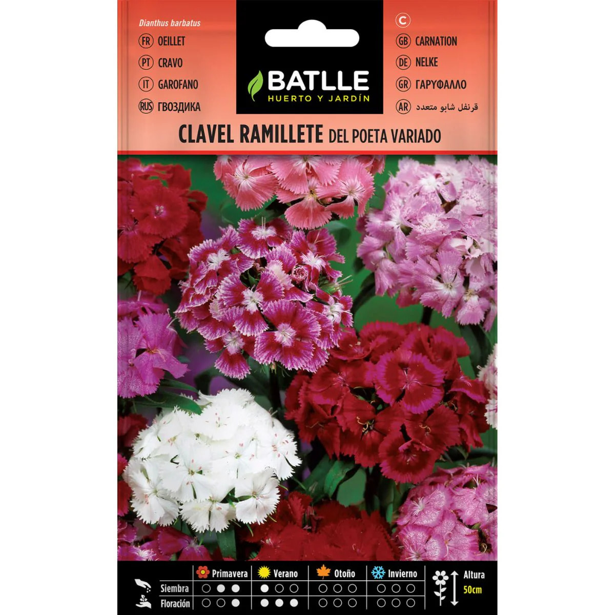 Semillas de Clavel ramillete del poeta variado Batlle