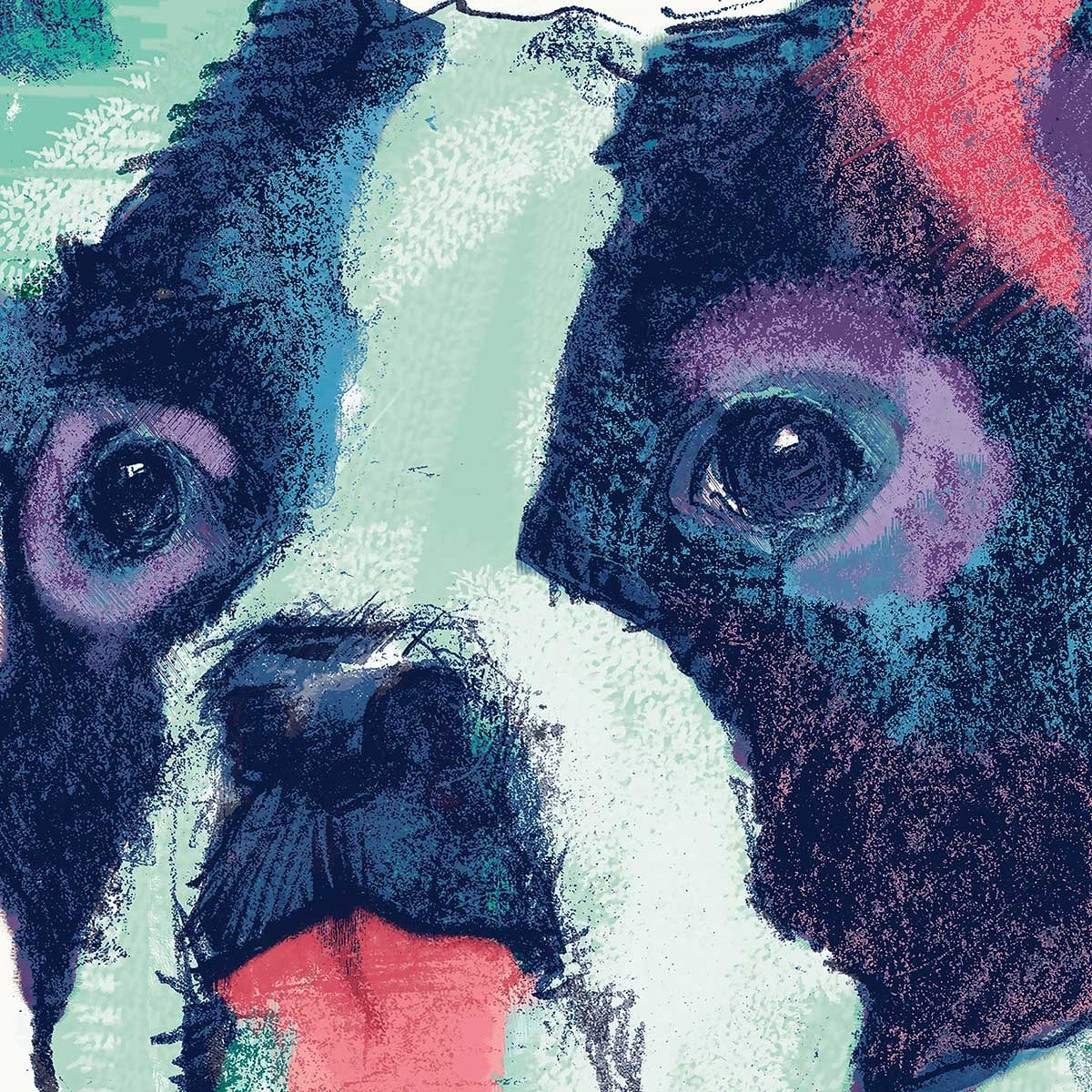 Affiche Ulysses Bouledogue français Affiche sous cadre noir
