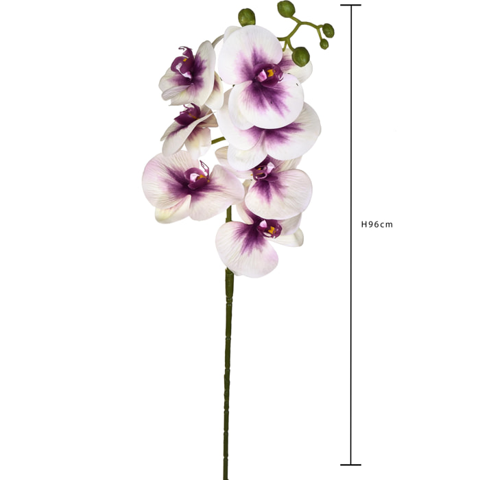 Phalaenopsis Con 7 Fiori. Altezza 96 Cm - Pezzi 6 - 14X96X8cm - Colore: Altro - Bianchi Dino - Fiori Artificiali