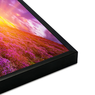 Affiche encadrée paysage de lande fleurie au coucher du soleil Affiche + cadre en métal - Noir