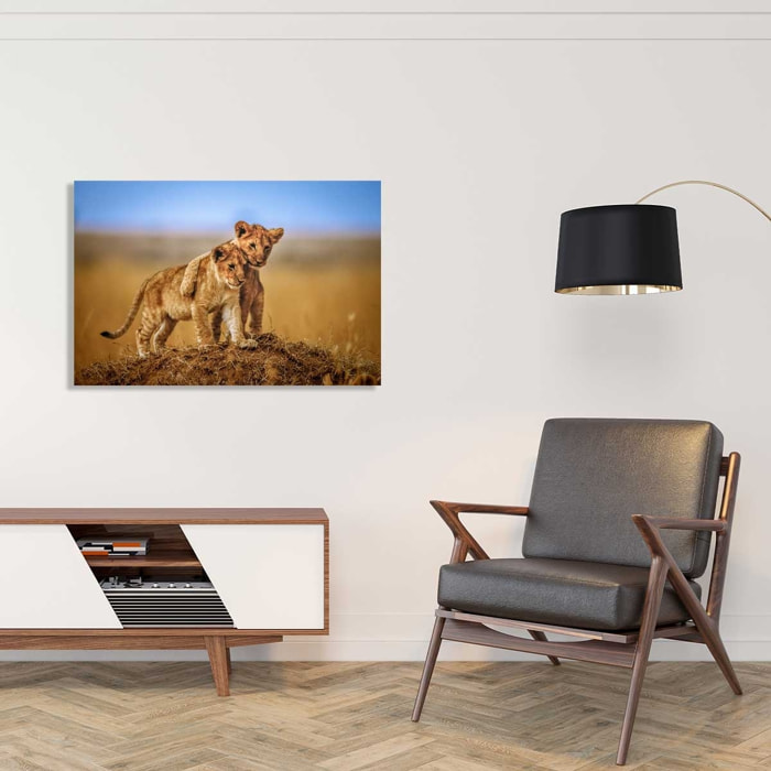 Tableau animaux brothers for the life Tableau plexiglas