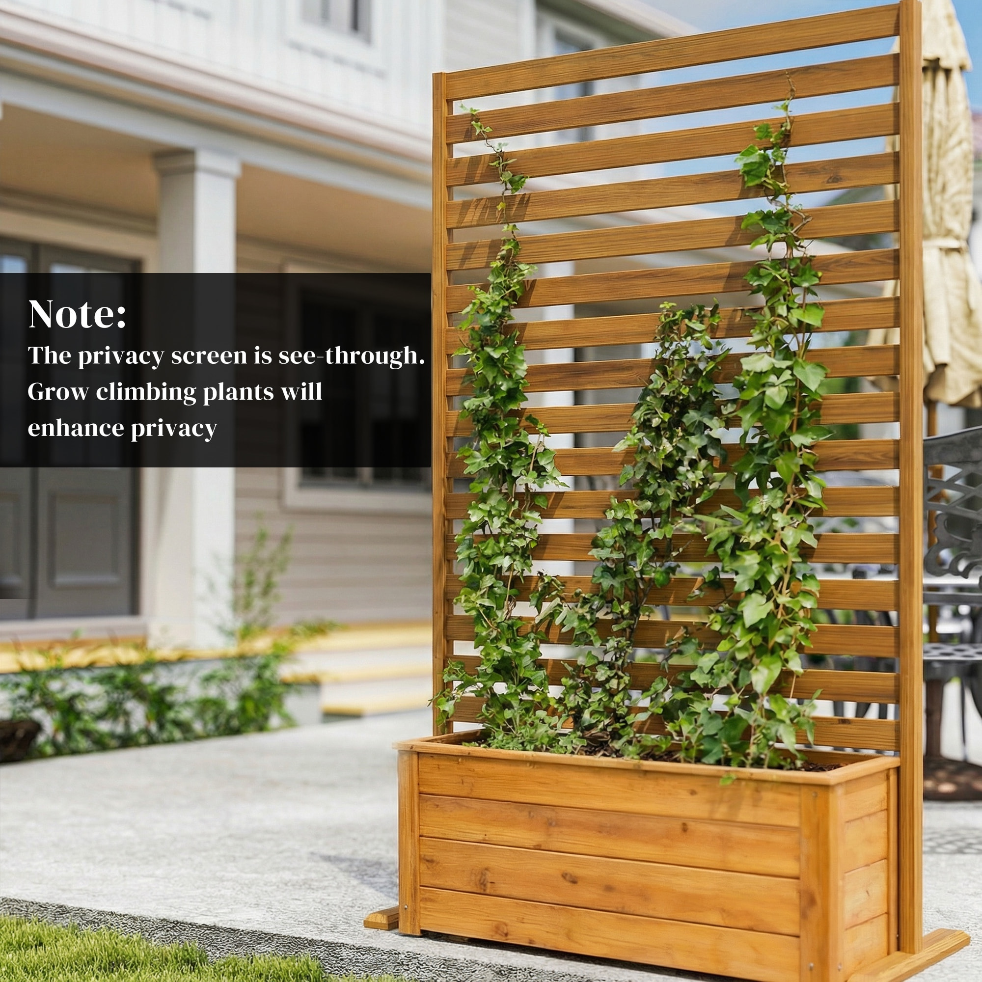 Claustra brise vue bois autoportant 80 x 170 cm pré-huilé