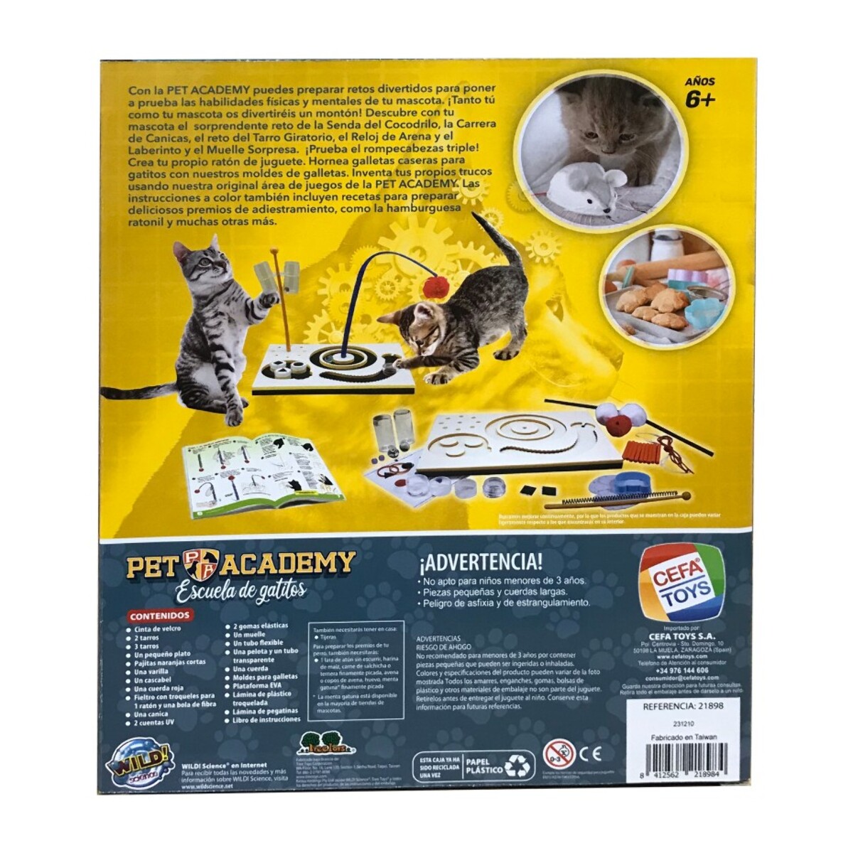 PET ACADEMY, ESCUELA DE GATITOS