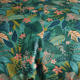 Parure housse de couette coton fougère