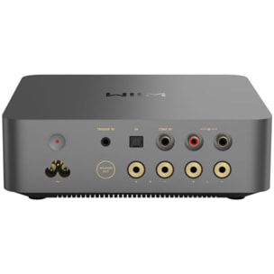 Amplificateur HiFi WIIM VIBELINK AMP SPACE GREY