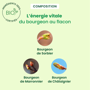 Herbalgem- VenaGem spray jambes lourdes - Bio - 15 ml