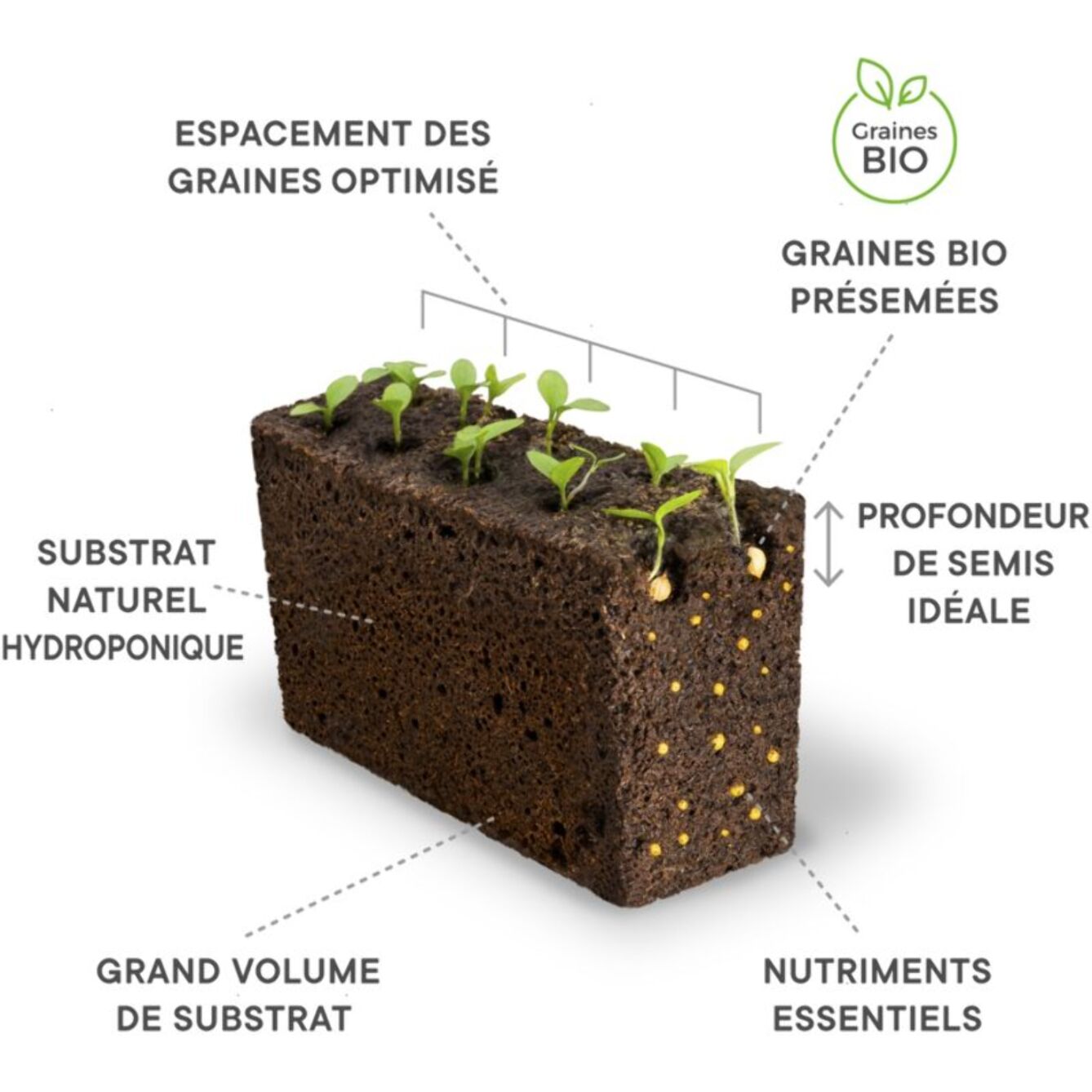 Recharge jardin d'intérieur VERITABLE Basilic Pourpre BIO
