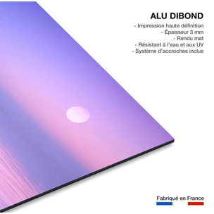 Tableau animaux Morning Flamingo Tableau alu Dibond
