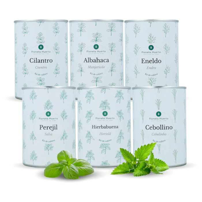 Pack Kits de cultivo aromáticas Planeta Huerto