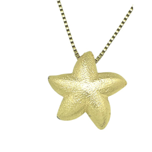 Collar estrella marina en dorado y latón chapado. Largo50