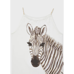 Top zebra