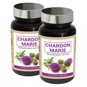 NUTRIEXPERT – Chardon Marie – Detox du Foie– Soutient le bon fonctionnement hépatique et du foie – Favorise le drainage - 100% extraits Chardon Marie naturel – Convient aux végans - Lot de 2 produits