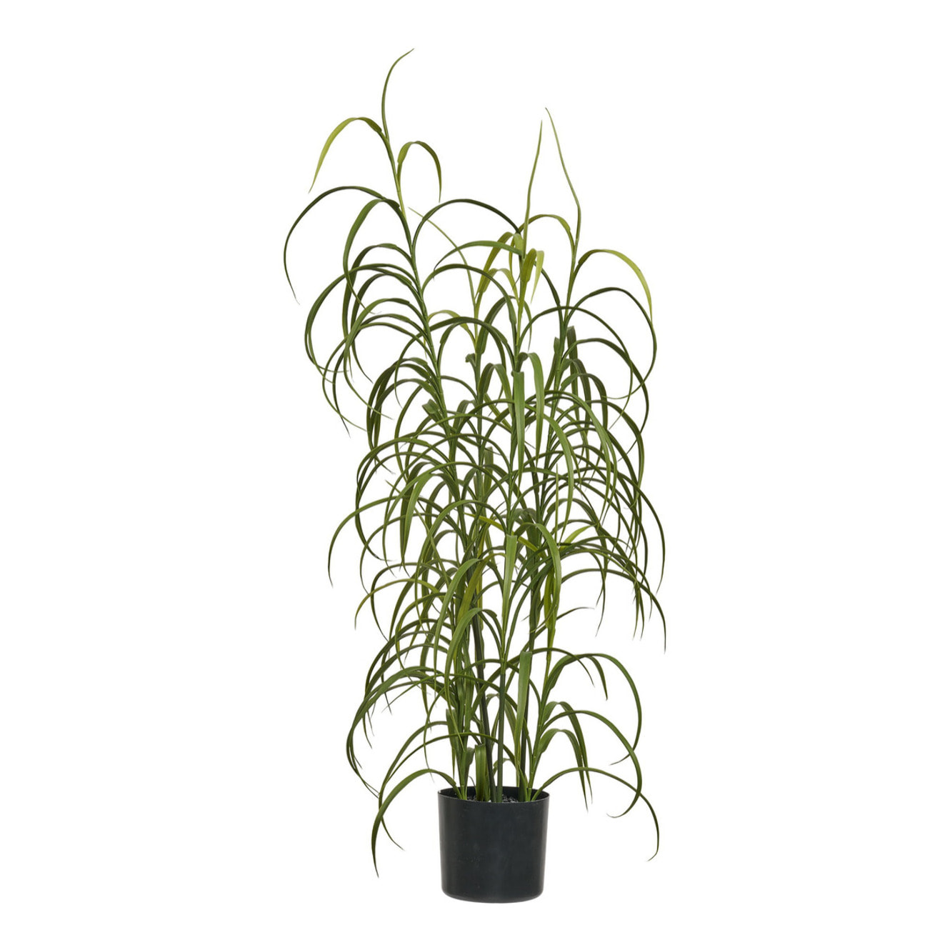 Pianta artificiale Grass Plant in PE verde — H 89 cm con vaso