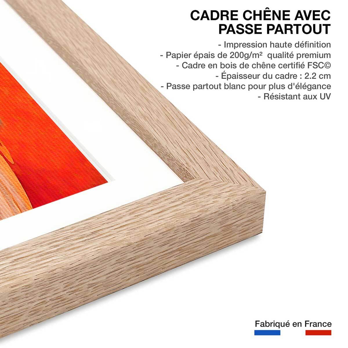 Affiche animaux flamingo et soleil d'or Affiche sous cadre bois