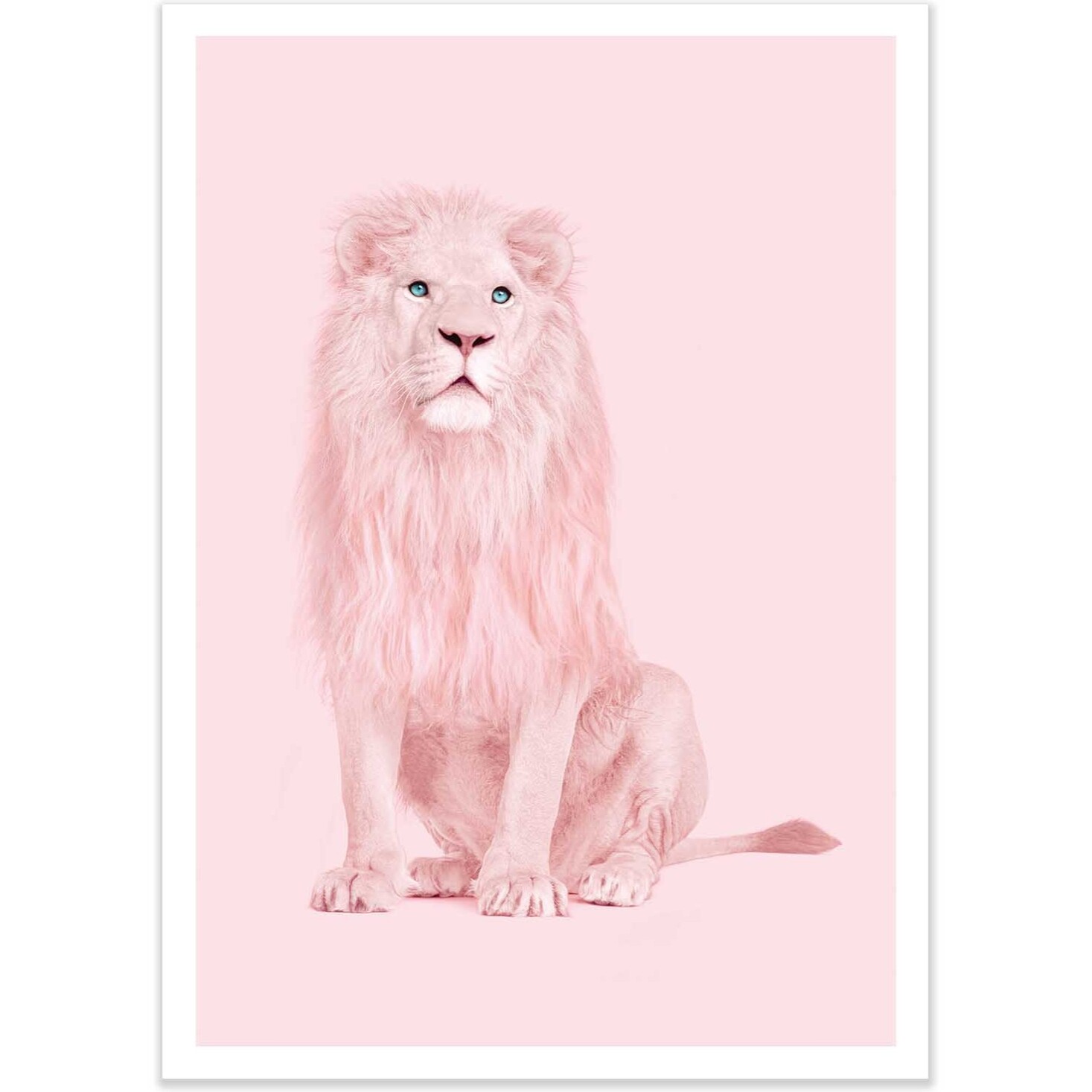 Affiche - Pink Lion - Paul Fuentes