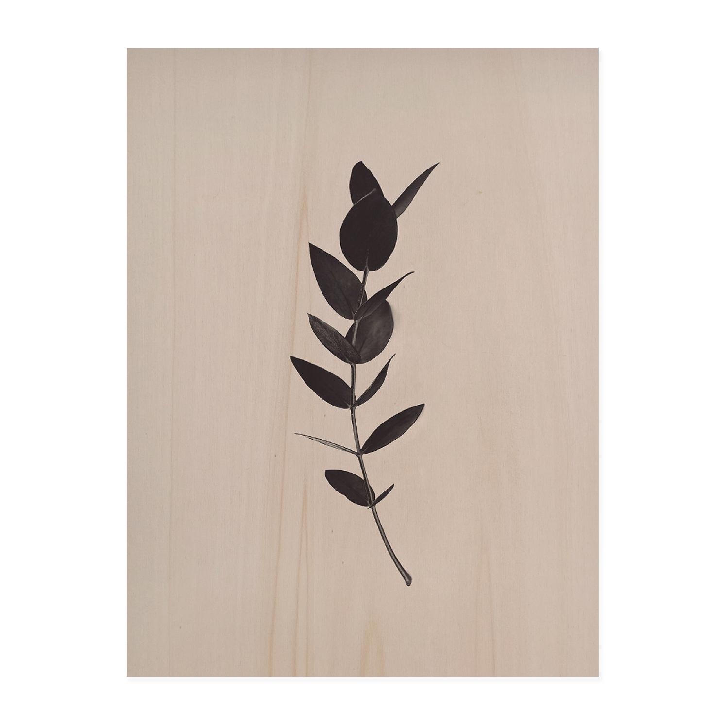 Tableau en bois Green Plant II Hauteur: 40 Longueur: 30 Largeur: 1