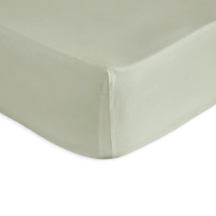 Drap housse PURE en coton percale vert