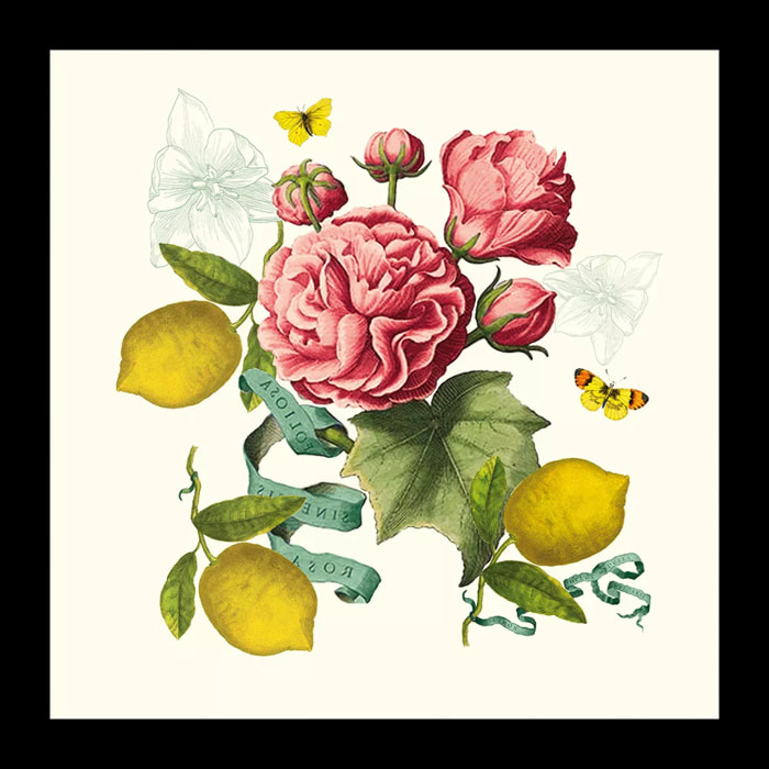 Serviette lin & coton lavé 190 g/m² imprimé multicolore Citrons de menton romance