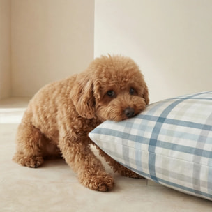 Housse antitaches pour lit pour animal Gia Bleu