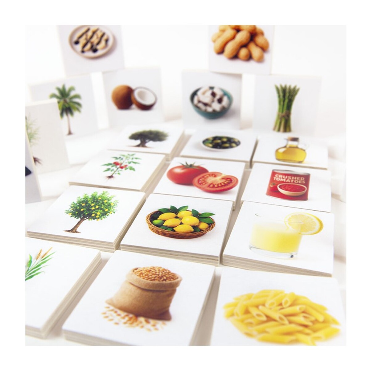 VEGETABLES FOOD ORIGIN