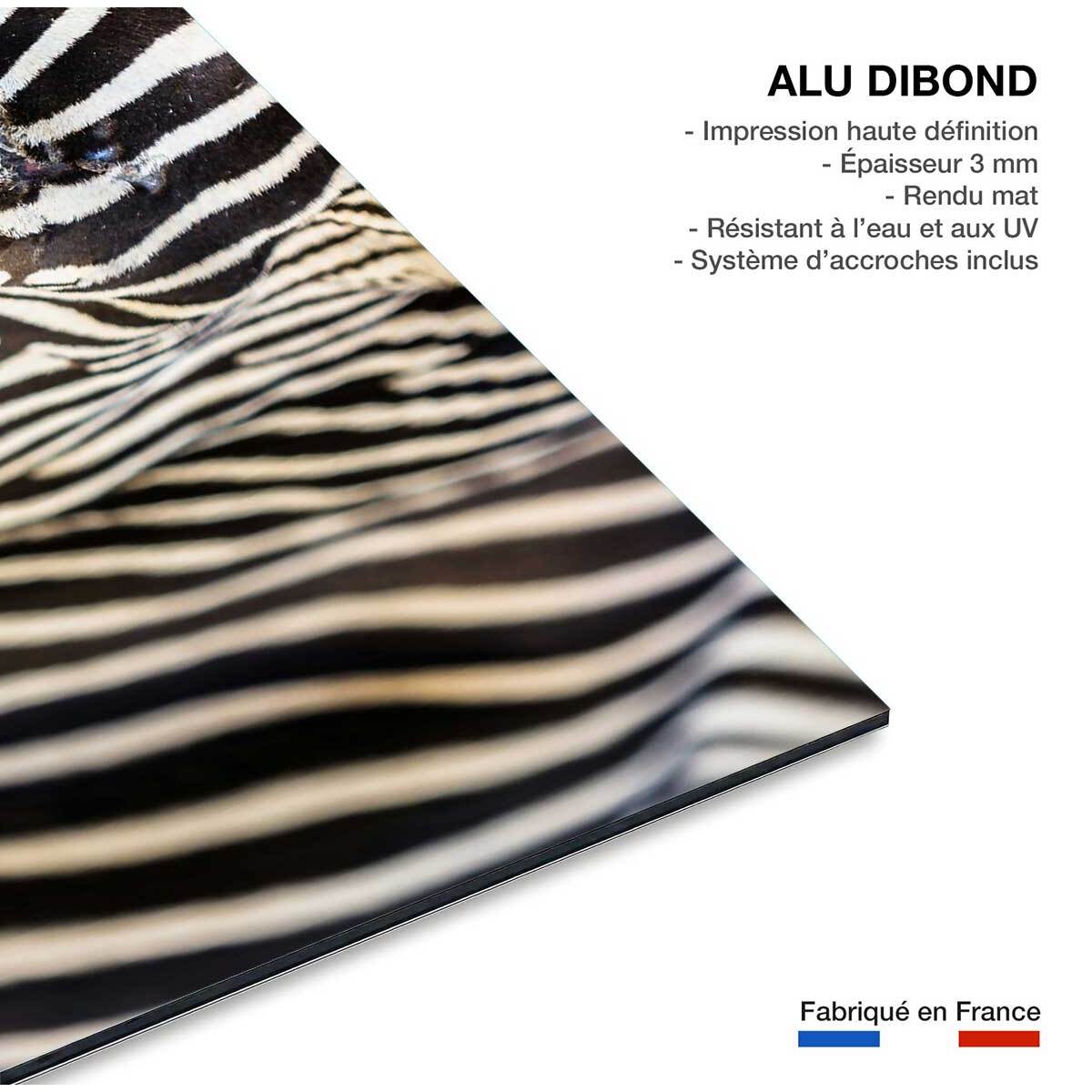 Tableau zèbre Tableau alu Dibond