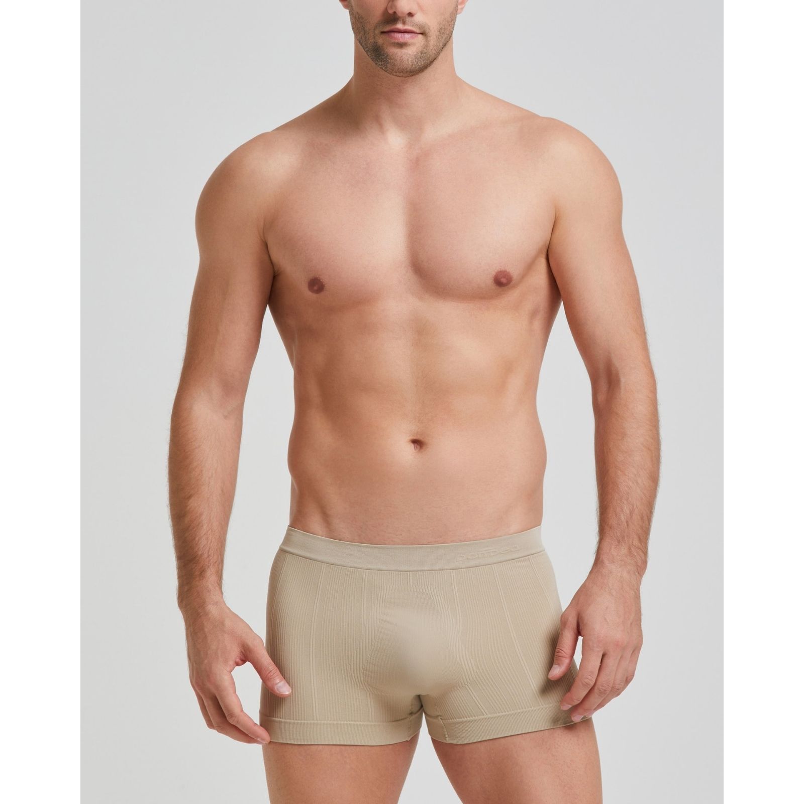 Boxer coste new moving seamless