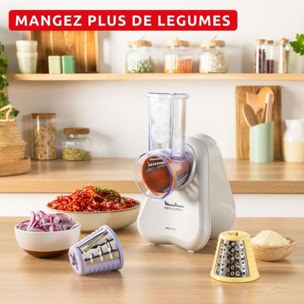Rapeur trancheur MOULINEX électrique Fresh Express DK853BE0