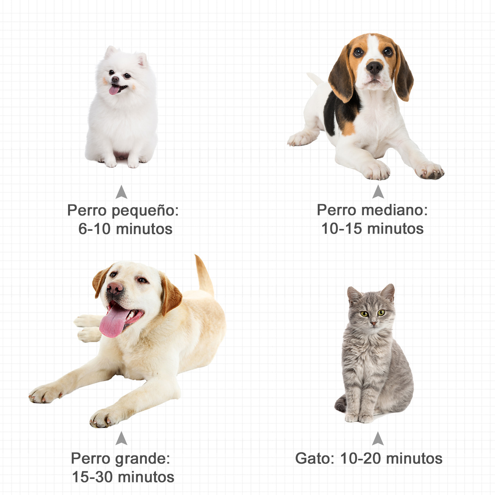 Secador Pelo para Mascotas de PP y Acero 2.5m Negro