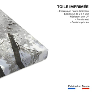 Tableau paris tour eiffel blanche  Toile imprimée