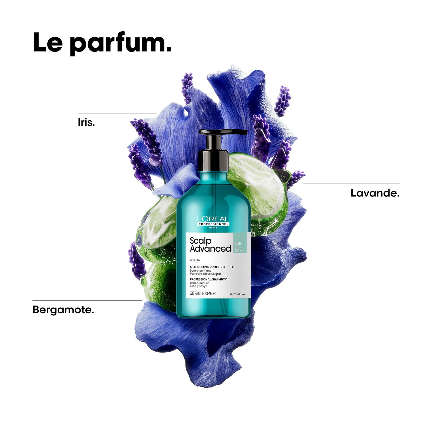 Série Expert Scalp Advanced - Shampooing Dermo-Purifiant - Cuirs Chevelus Gras 500 ml