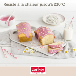Moule à cake Zenker Special Mini