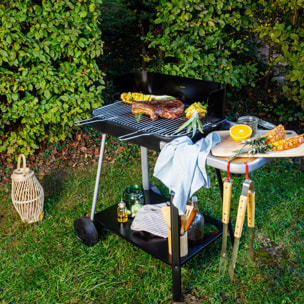 Barbecue au charbon de bois VULCANO 2300