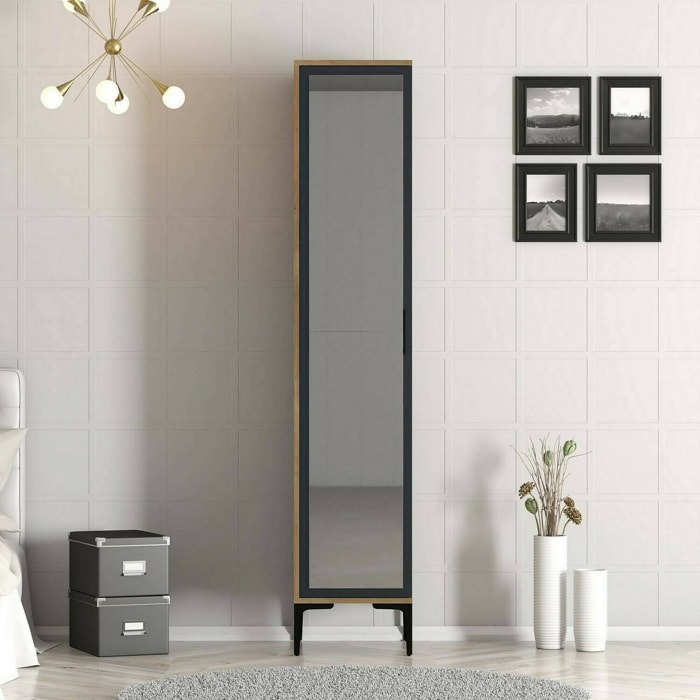 Armadio multiuso 1 anta Asfodelo, Mobile multifunzionale, Mobiletto scarpiera, Guardaroba porta scarpe, 40x48h201 cm, Noce e Antracite