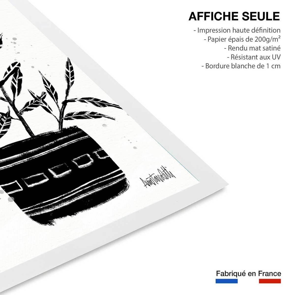 Illustration Botanique et Poterie terre cuite Affiche seule