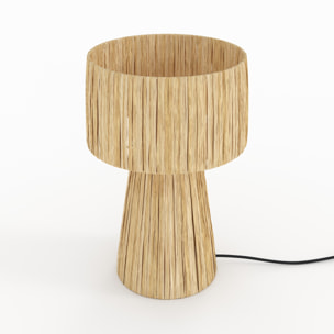 Lampe en feuille de palmier - Soléa